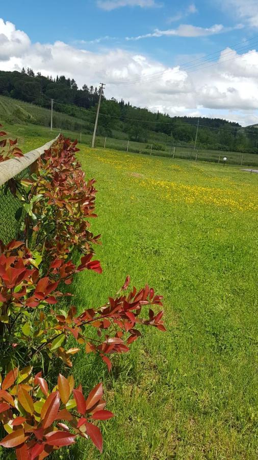 Podere Greve Chianti San Casciano in Val di Pesa Exterior photo